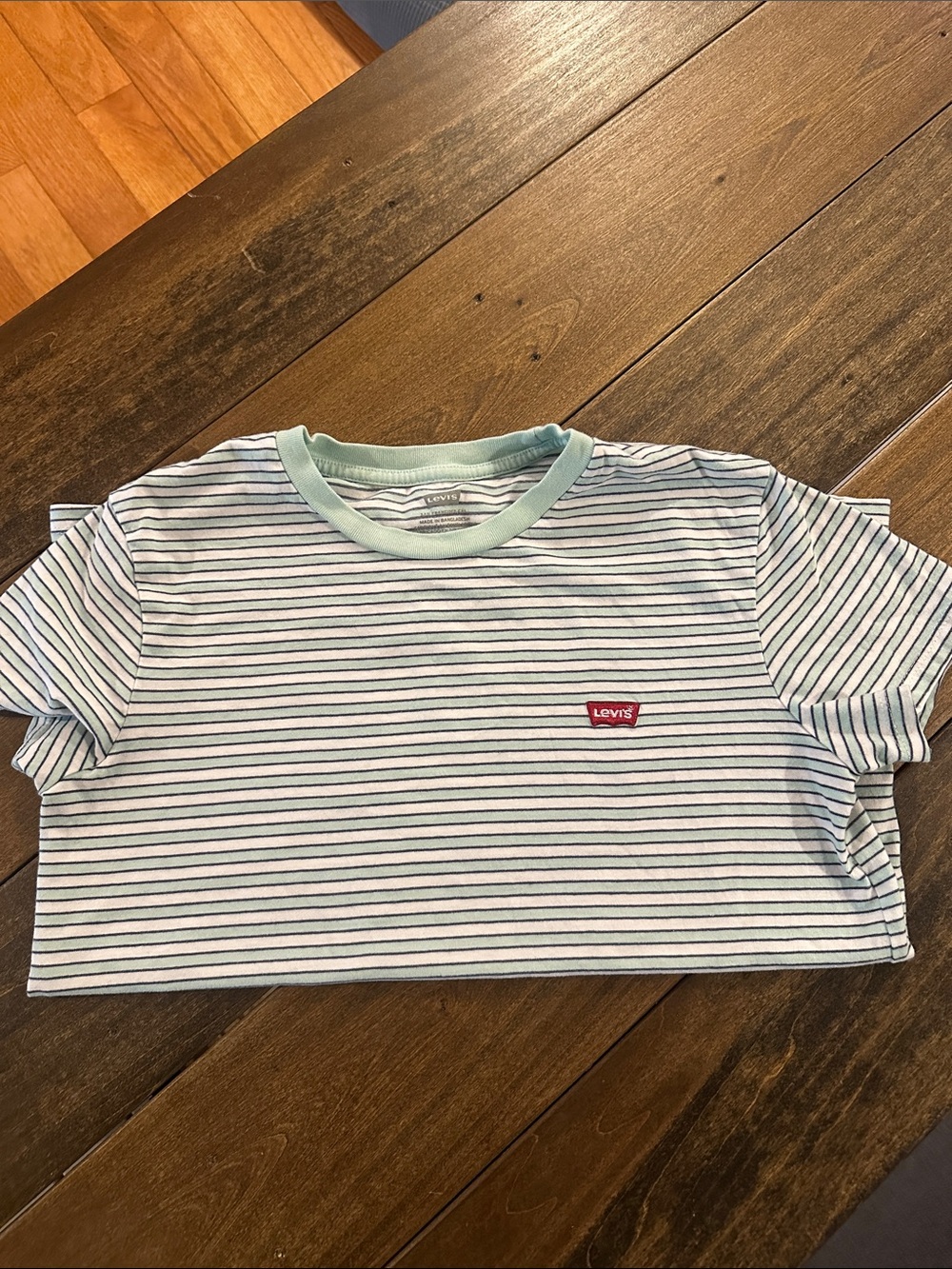 Levi's Kids Mint & White Striped Short Sleeve Tee with Red Logo